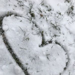 Meet your Posher, Riley